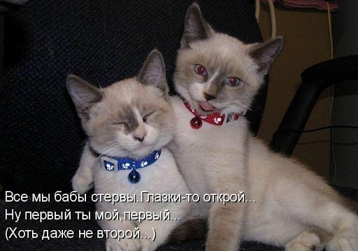 Ну а вы всё спорите. Точка поставлена