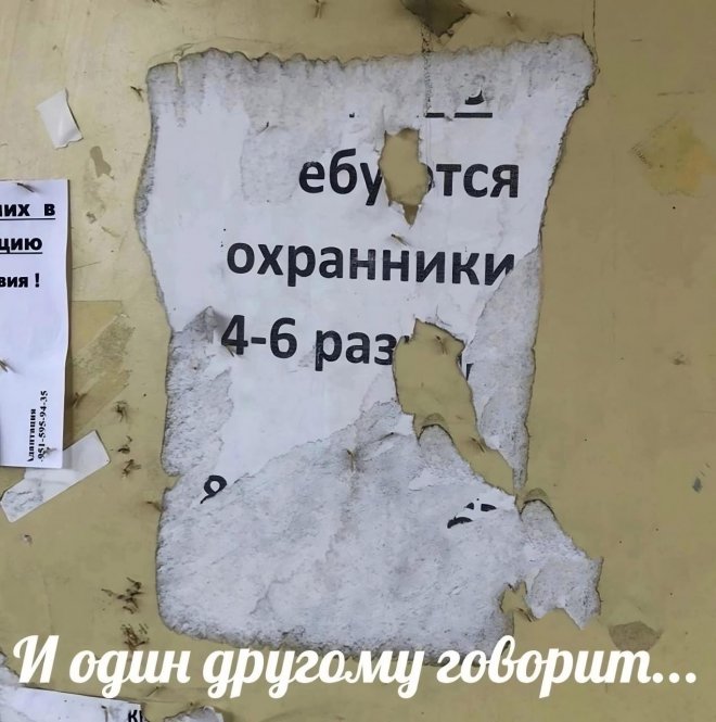 Веселые картинки в пятницу (01.08)