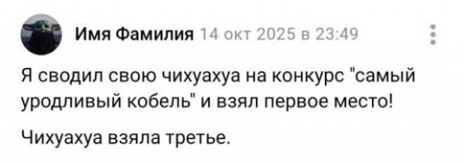 20496199.jpg