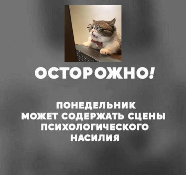 К котовторнику: подборка картинок-баянов с котиками и про котиков. Выпуск 27.