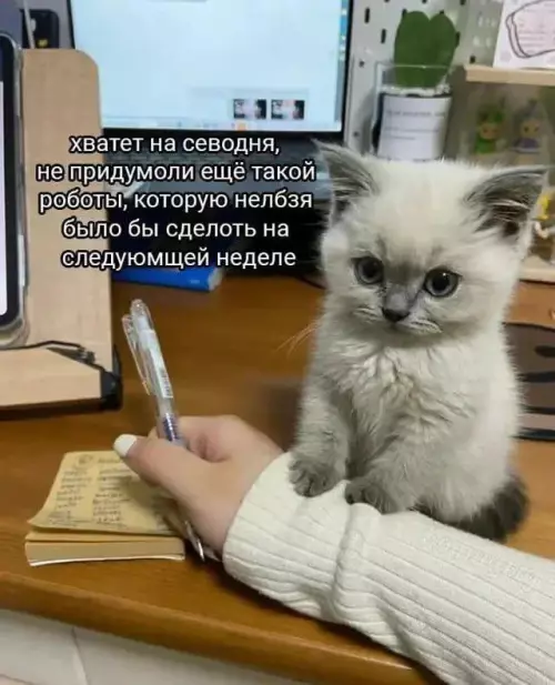 Картиночки, баянчики 07 февраля