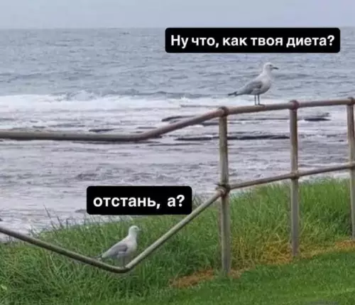 Картиночки, баянчики 15 февраля