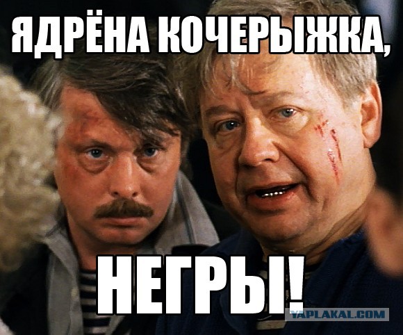 Викинги приплыли