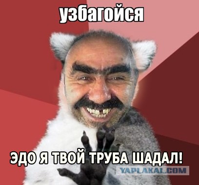 Откуда взялся узбагойся