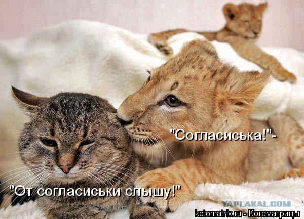 Визуализируем свои ники!