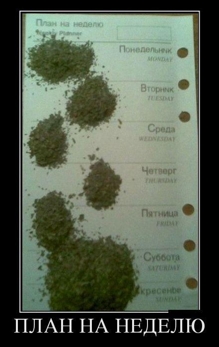 Пох, и так сойдет!