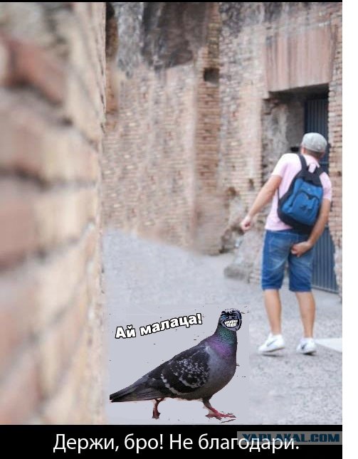 Поймал момент