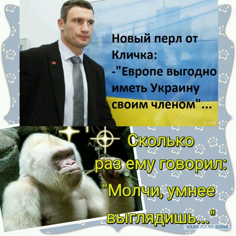 северный экономический район экономико-географическое положение. что значит транзитное положение. положение вещей 1982. эгп архангельской области. европе выгодно иметь украину.