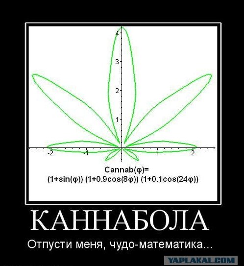 Кленобула. Мат-арт или минутка математики.