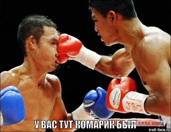 Яркие моменты в спорте