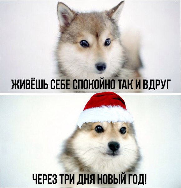 Подборка прикольных картинок