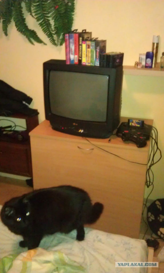 Веселые 90-е. Sega mega drive 2