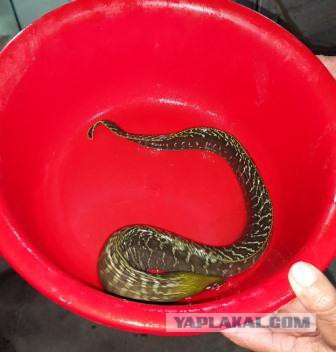 Автостопом из Москвы в Юго-Восточную Азию