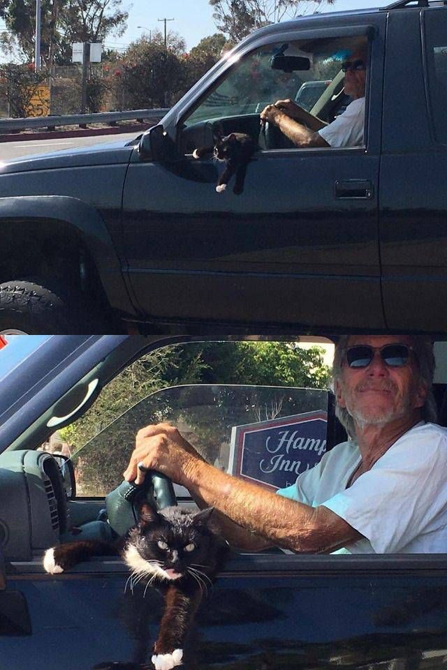 Картинки и приколы из сети