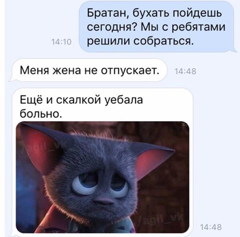 Немножко картинок