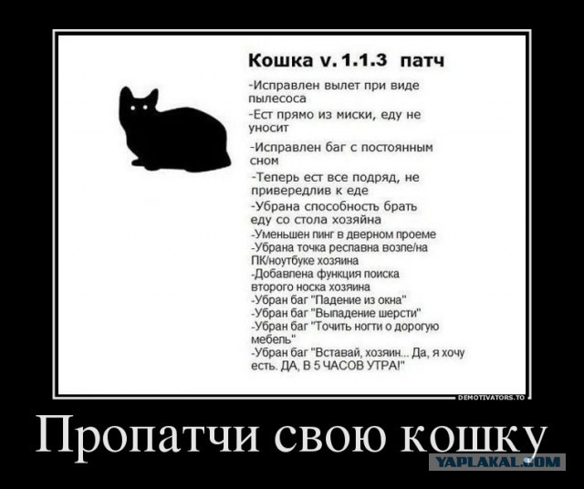 Что интересного?