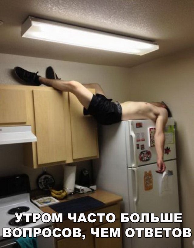 Подборка безудержного веселья