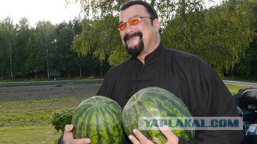 Дания - иммигрантам: Или ассимилируем или посадим