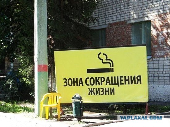 Подборка интересных и веселых картинок 03.05.19