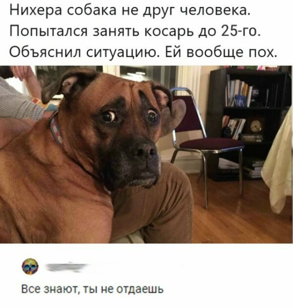 Подборка интересных и веселых картинок 24.08.19