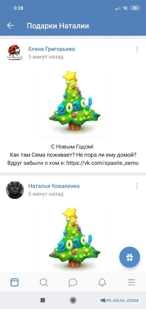 Помогите вернуть кота! Приют "Преданное сердце" украл кота и не отдает!-2