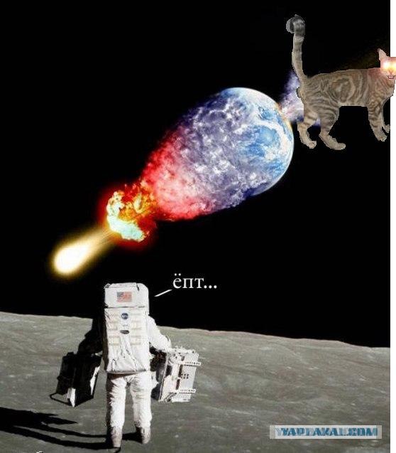 Фотожаба: Кот отакует!