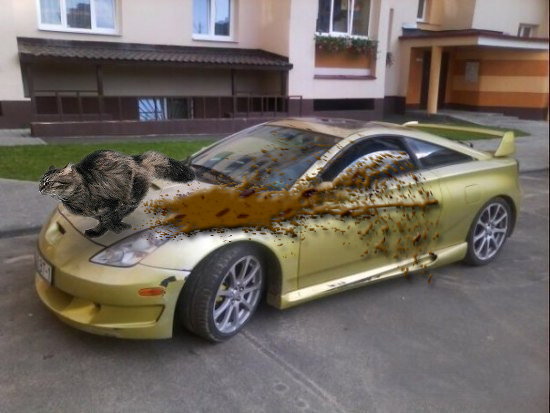 Автомобиль рыжих кошек. Кот в машине. Ваз 2106 желтая с черной крышей. Рыжий кот быстрый тюнинг игрушки жигули. Рыжий кот тюнинга.