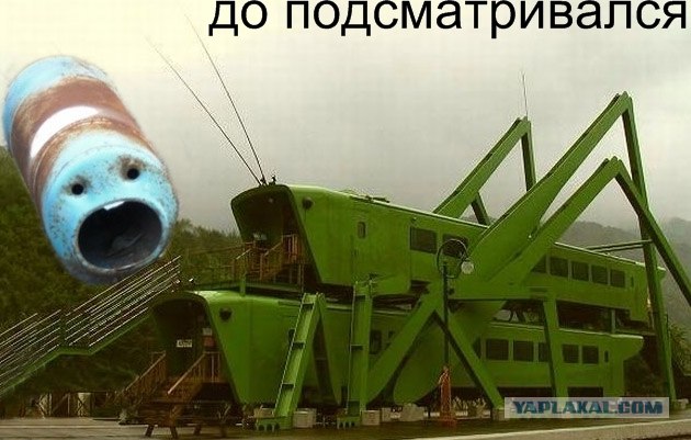 Фотожаба: Чернобыльская гусеница