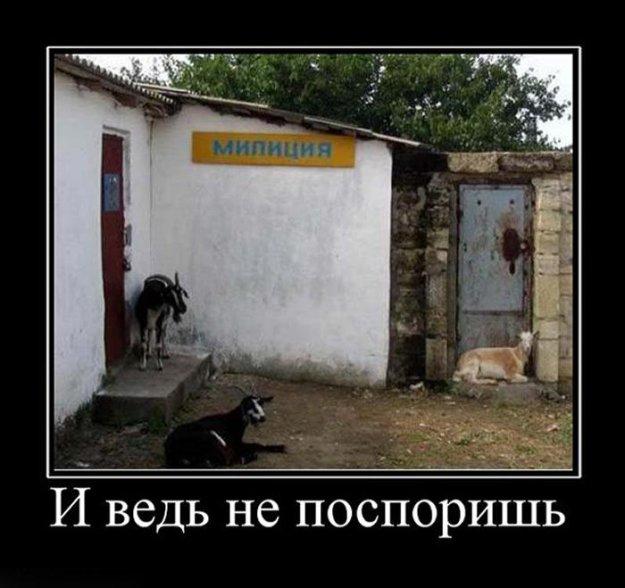 Подборка баянистых картинок