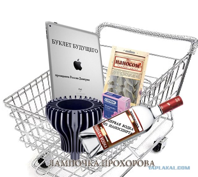 Наночек Медведева. Пожабим?