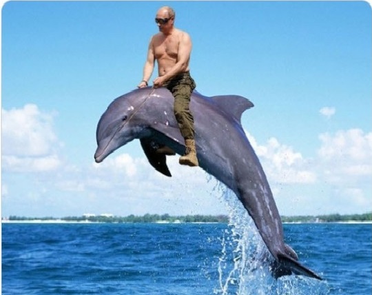 Суд над Навальным. Прямой эфир