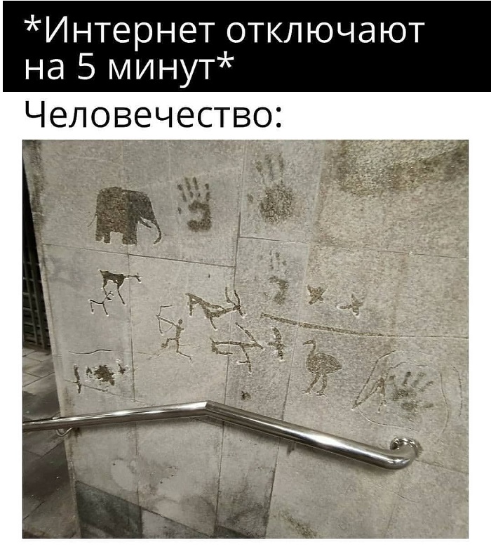15427299.jpg