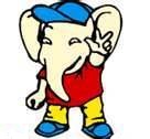 Спасли слонёнка