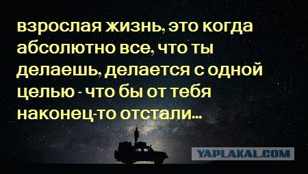 "Справку принеси!": в край упоротые ситуации, которых бы не было без бюрократизма