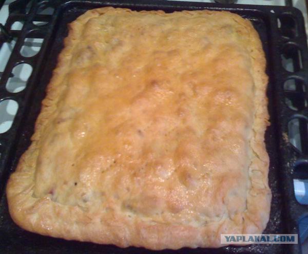 Все из рыбы!