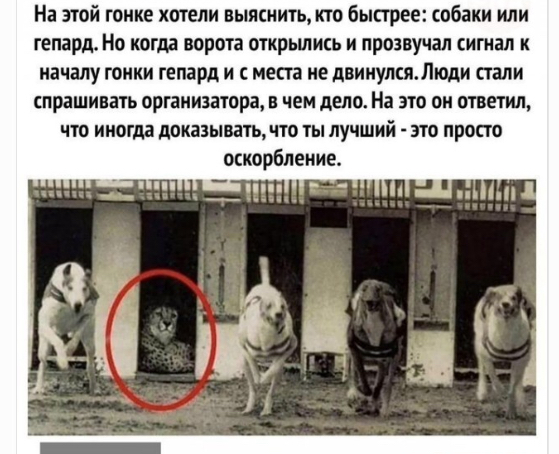 Картинки - не картинки. Смешные - не смешные 2