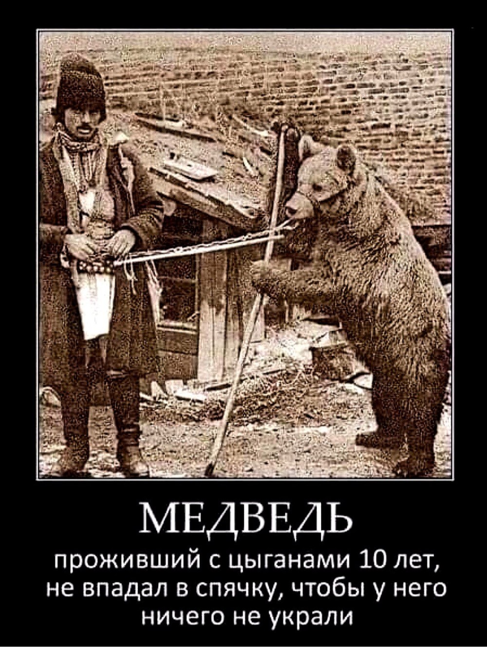 Шутки про цыган