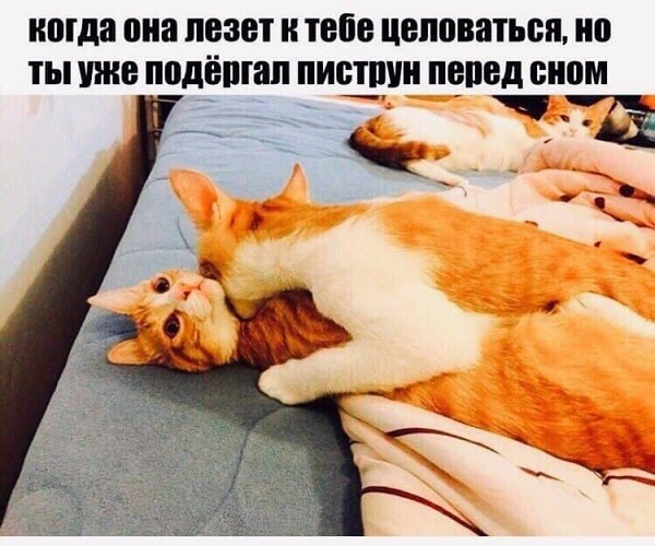 40 пятничных картинок разных 25.03.2022