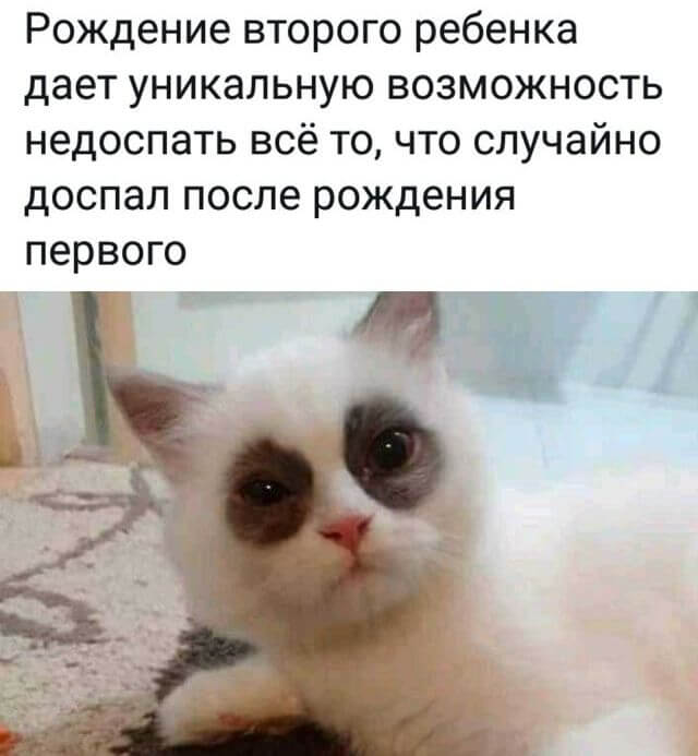 Так себе картинки 17.04.22