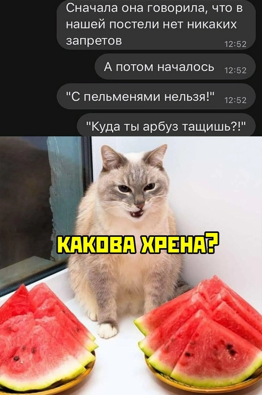 Весёлый полтишок 14.06.22