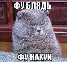 В Рио-де-Жанейро задержали немецкого консула по подозрению в убийстве супруга