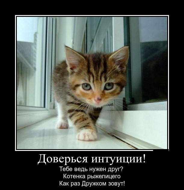 Так себе картинки 07.04.23