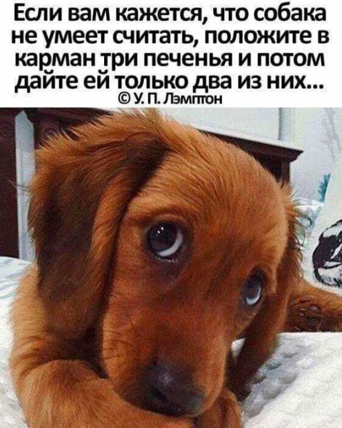 Немного картинок натыренных в ТГ