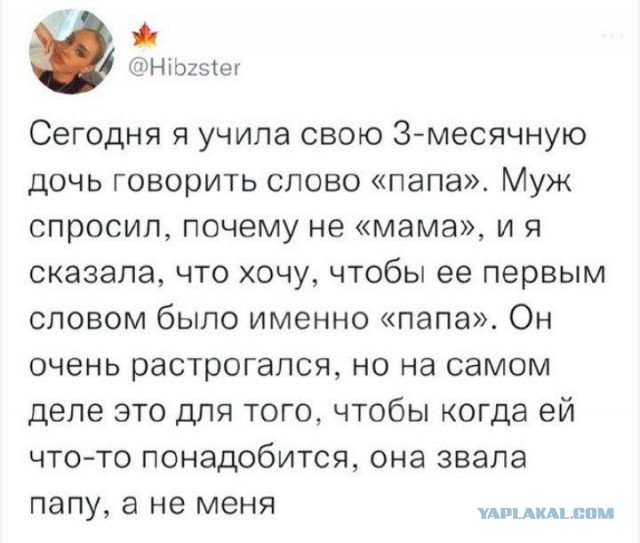 Картинки