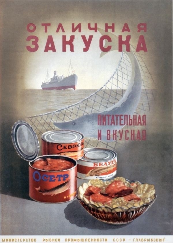 Фотографии из прошлого нашей страны – 84