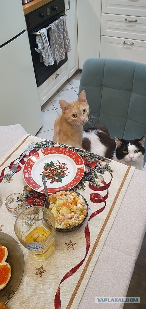 Какой стол, такой и стул!