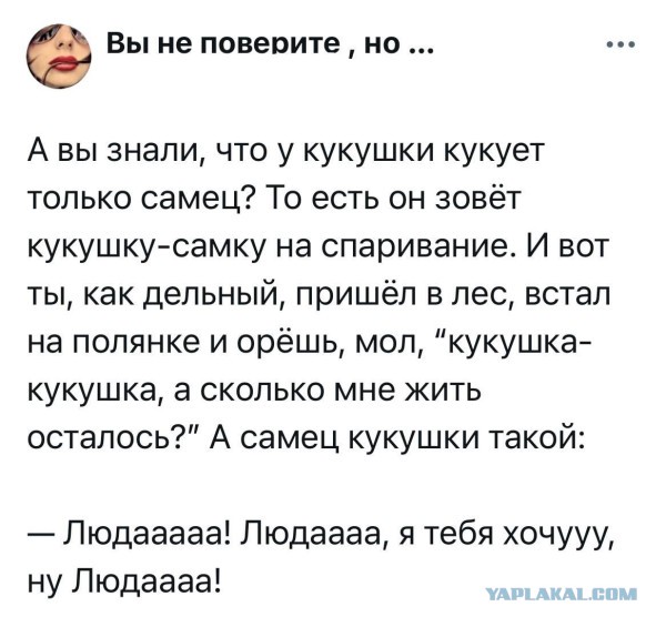 Веселое настроение в картинках (25.07.2025)