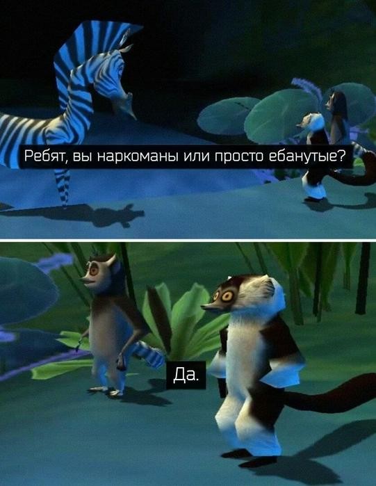 Картинки для деградации 218 (разной степени свежести)