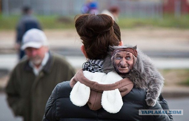 Эти глаза напротив..