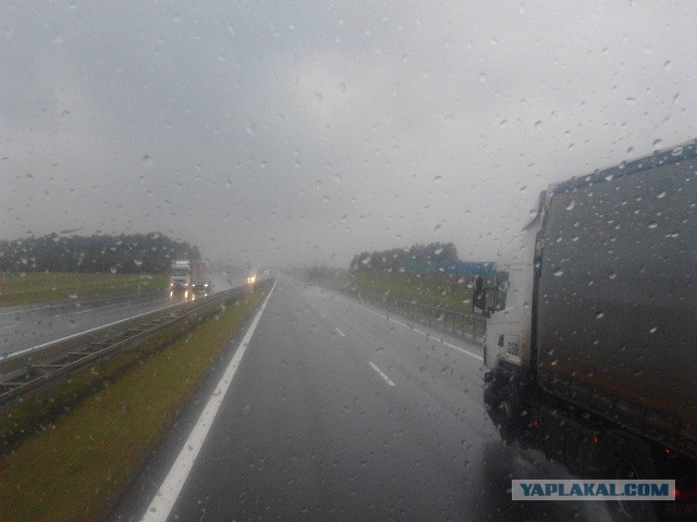 Где яблоки растут!